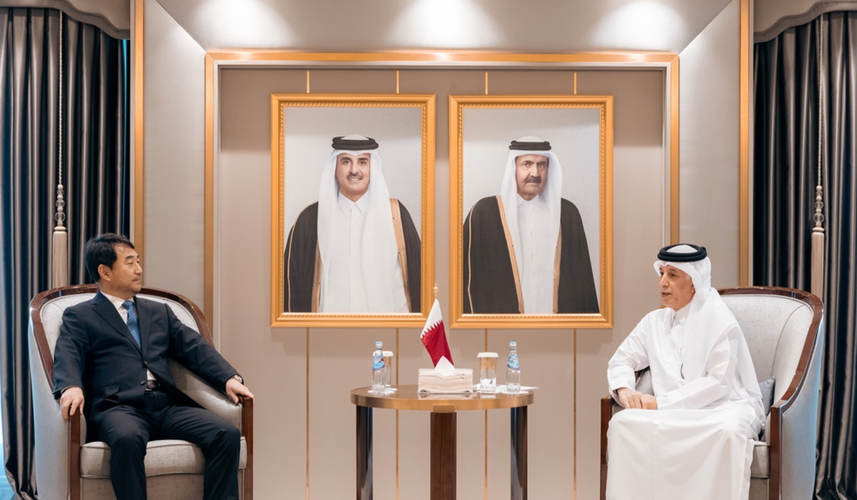 Minister of State for Foreign Affairs Holds Talks with Korean Official